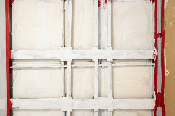 Best Airborne Mold Testing  in Reno, TX
