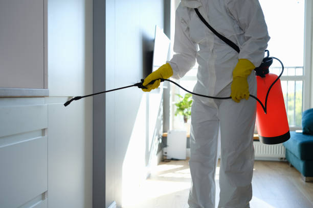 Mold Odor Removal Services in Reno, TX